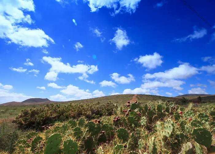 Montaña -c Valles de Ortega