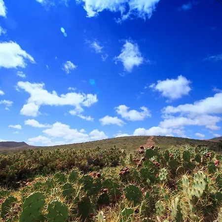 Montana -c Valles de Ortega